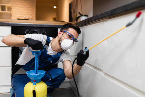 Best Flea Control Services  in Dortches, NC