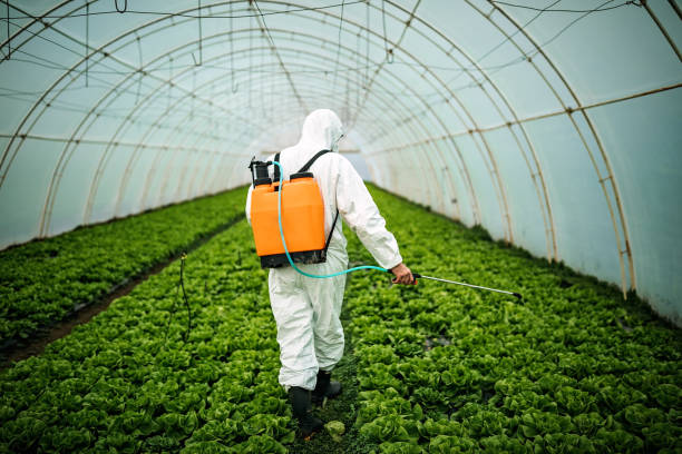 Best Mosquito Control Services  in Dortches, NC