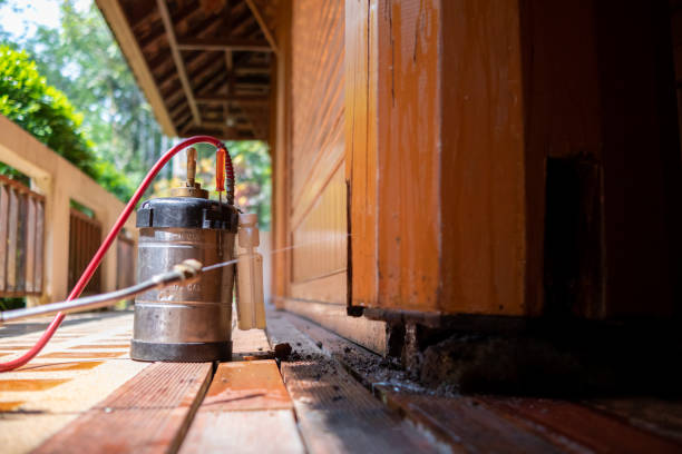 Best Affordable Exterminators  in Dortches, NC