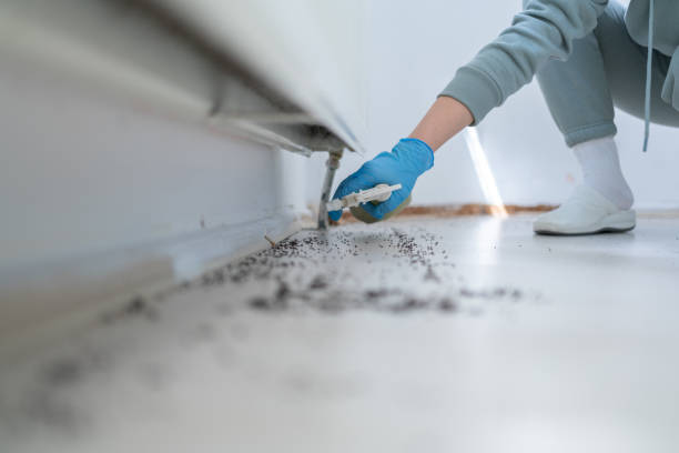 Best Wildlife Control Services  in Dortches, NC